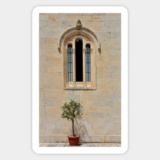 Olive Tree and Church Window Sticker